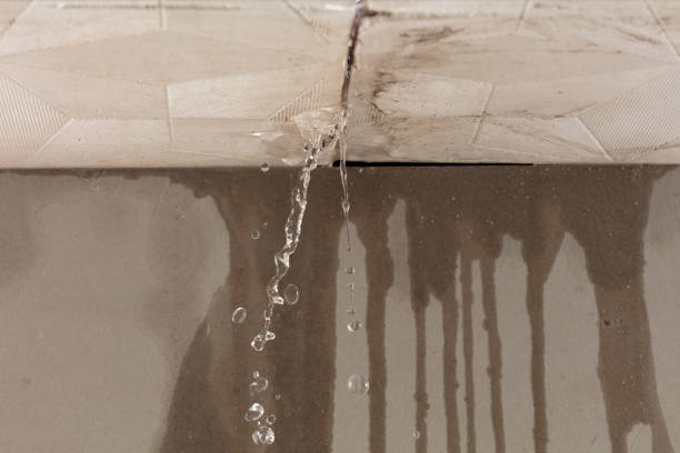 Professional Water Damage Repair technician working in Augusta, NJ